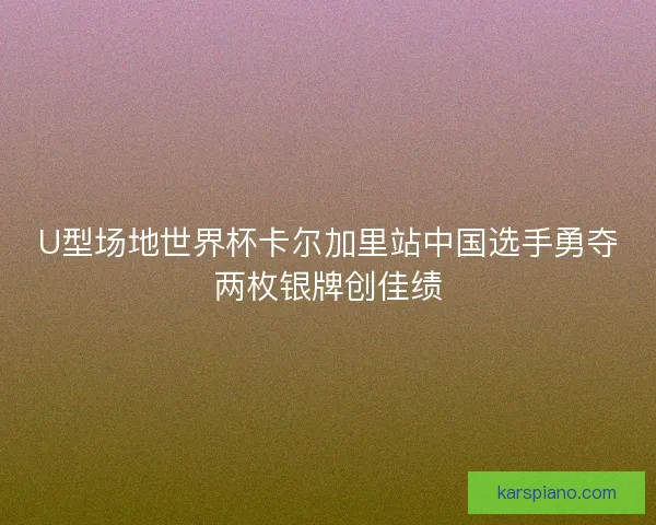 U型场地世界杯卡尔加里站中国选手勇夺两枚银牌创佳绩