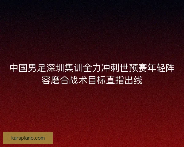 中国男足深圳集训全力冲刺世预赛年轻阵容磨合战术目标直指出线